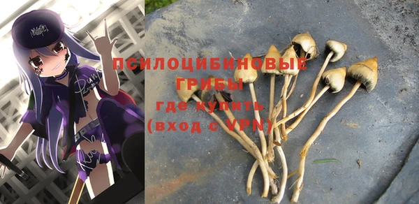 дмт Беломорск