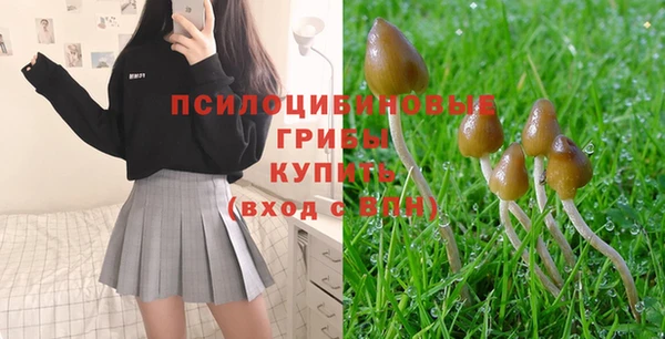ГАЛЛЮЦИНОГЕННЫЕ ГРИБЫ Белоозёрский
