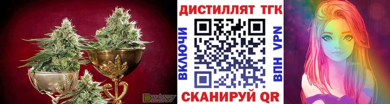 ТГК концентрат Курчатов